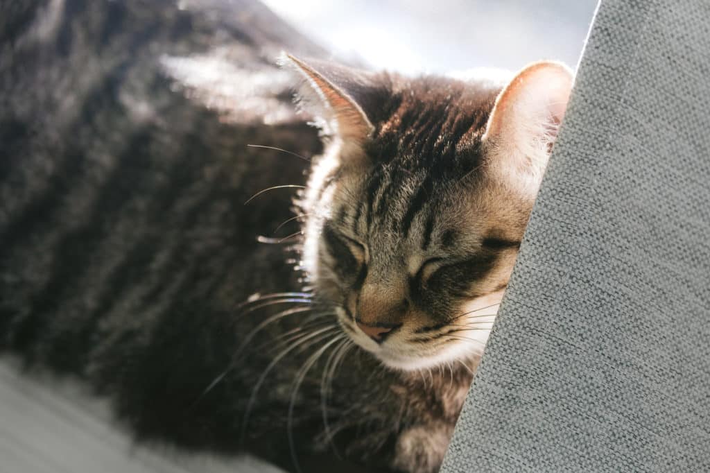 【アフィリエイトブログ収入 1ヶ月目】サラリーマンが副業で本当に稼げるのか？収益を公開5