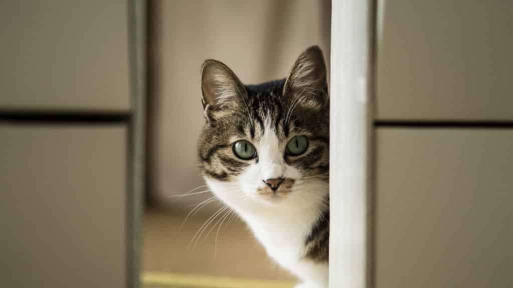 【アフィリエイトブログ収入 3ヶ月目】サラリーマンが副業で本当に稼げるのか?収益を公開4